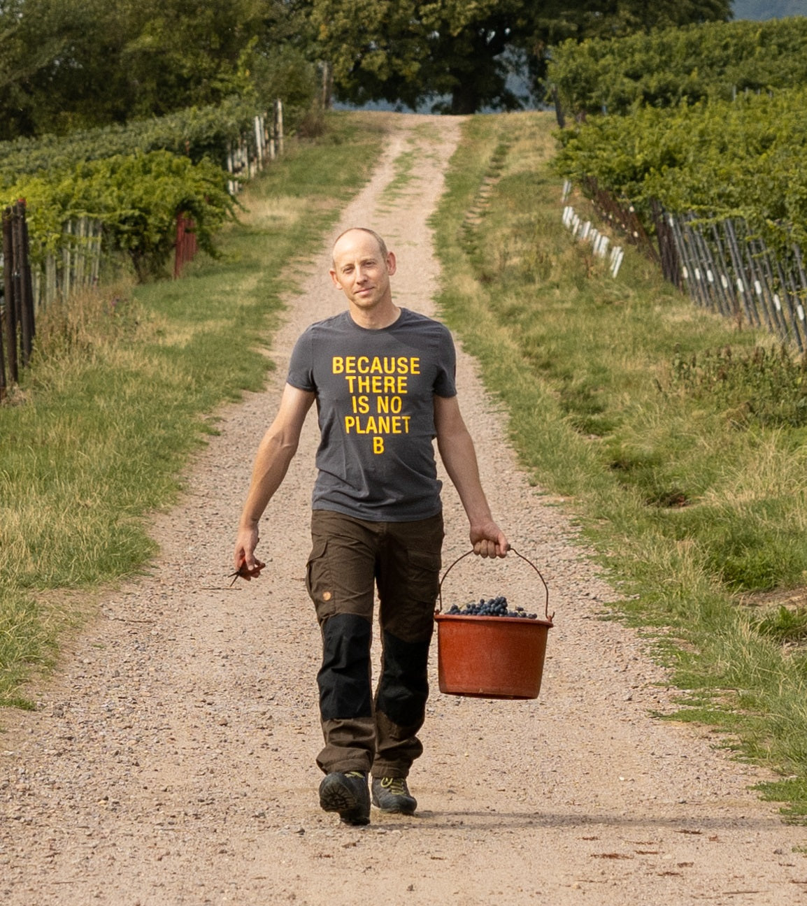 Weingut Ackermann
