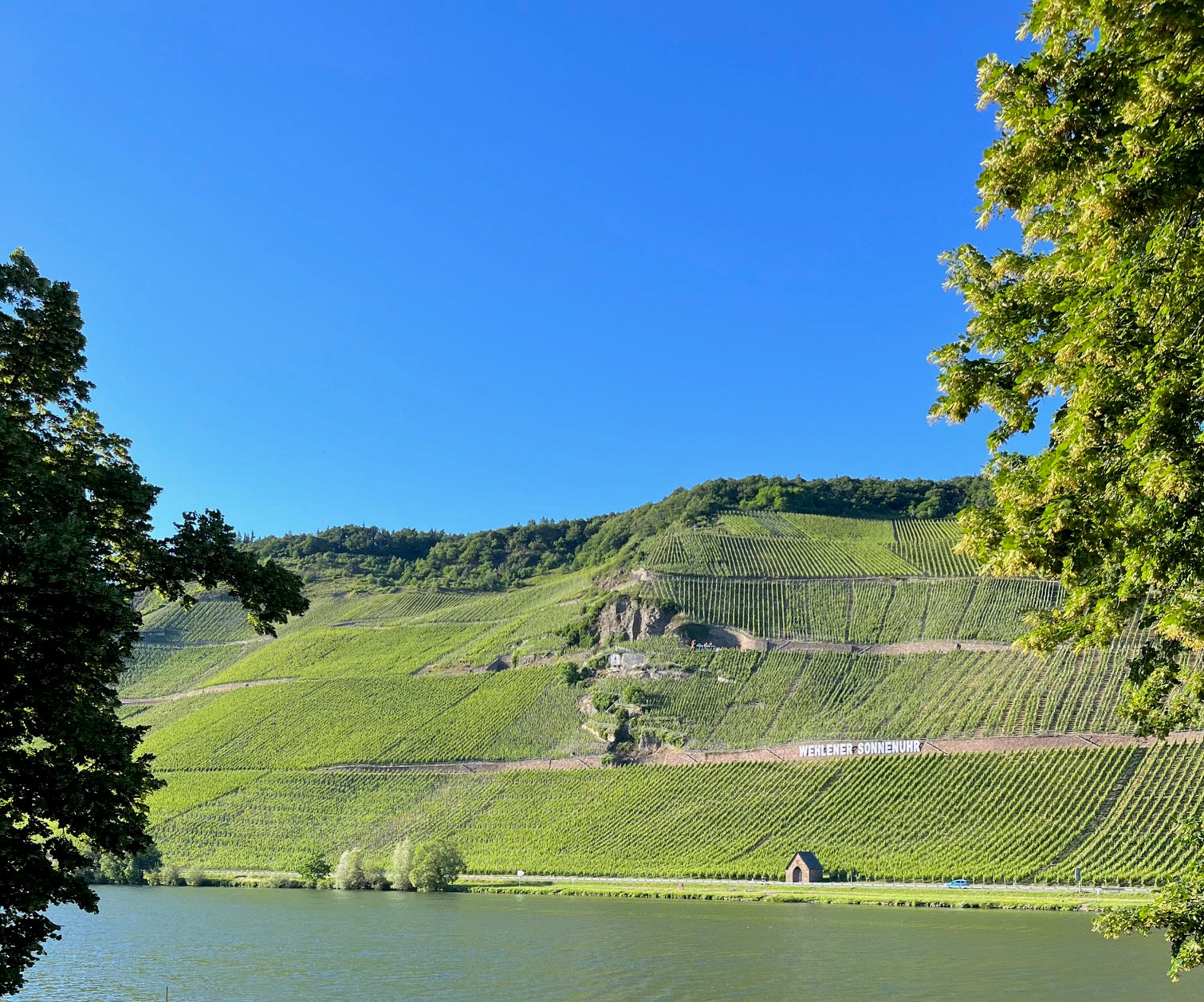 Mosel