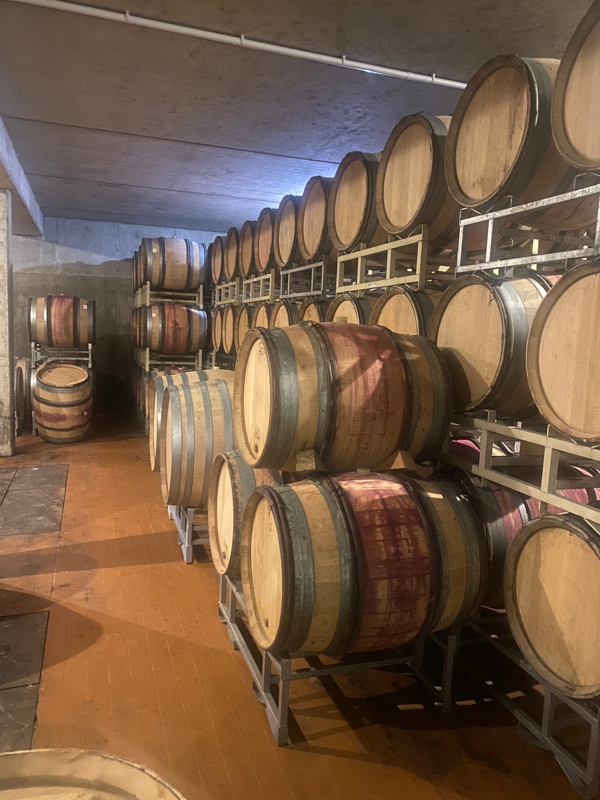 Wein gemeinsam erleben