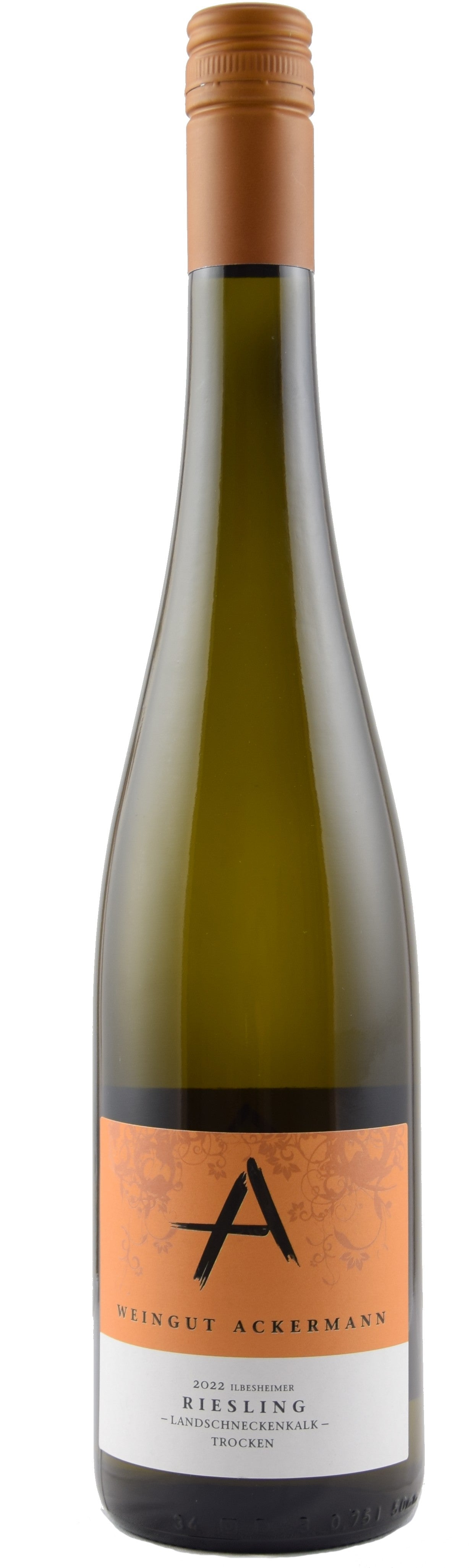 Ilbesheimer Riesling Landschneckenkalk trocken 2024 – Weingut Ackermann