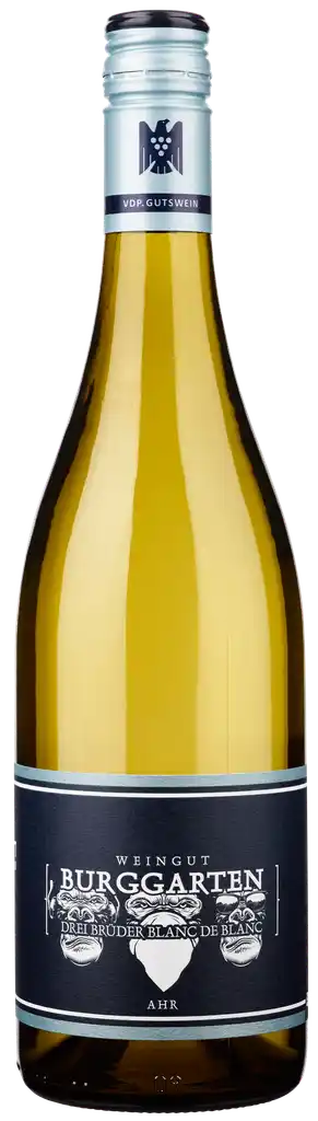 Drei Brüder Blanc de Blanc 2025 – Weingut Burggarten