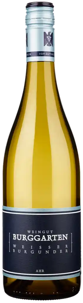 Weißburgunder Gutswein 2025 – Weingut Burggarten